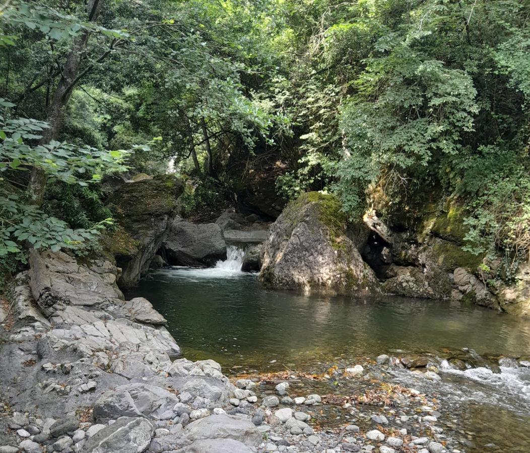보르조나사 Casa Ylenia 빌라 외부 사진
